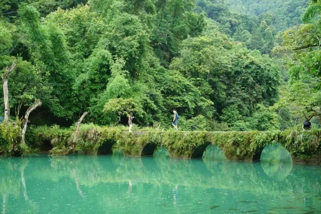 《领航》系列报道